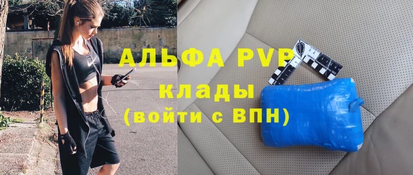 стафф Аркадак