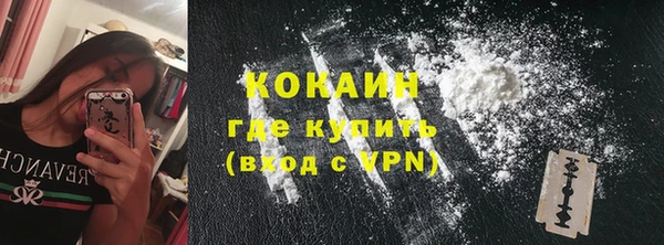 стафф Аркадак