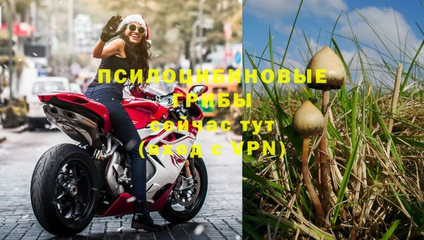 стафф Аркадак