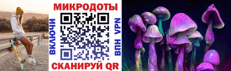 Псилоцибиновые грибы Psilocybe  хочу наркоту  Верхний Тагил 